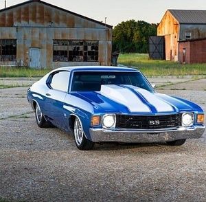 Meet your Posher, Austin